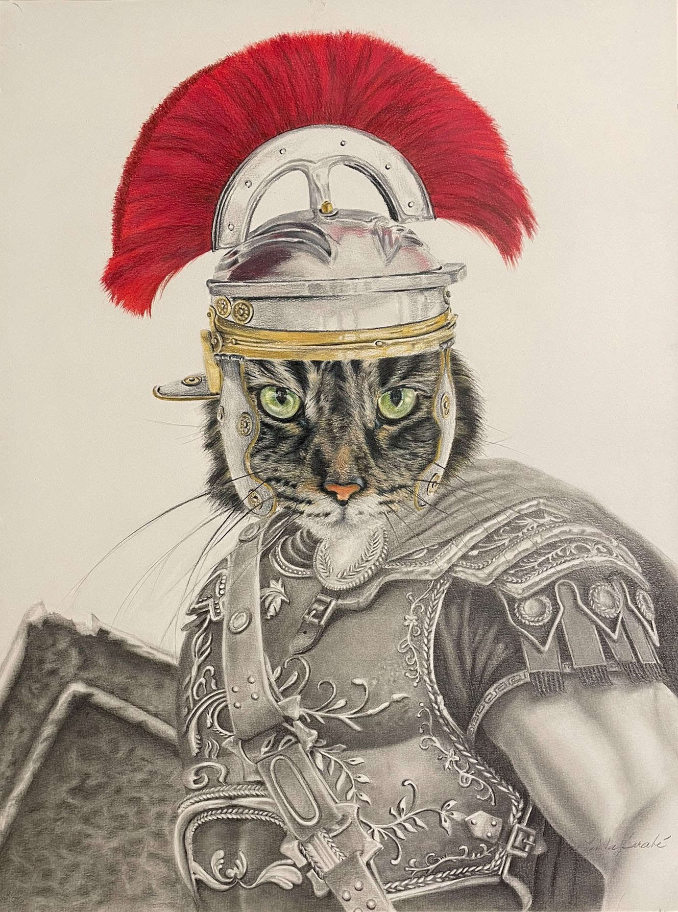 Linda Barabé — coloured pencil drawing of a cat dressed as a Roman legionnaire