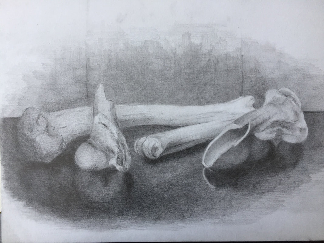Bones study
