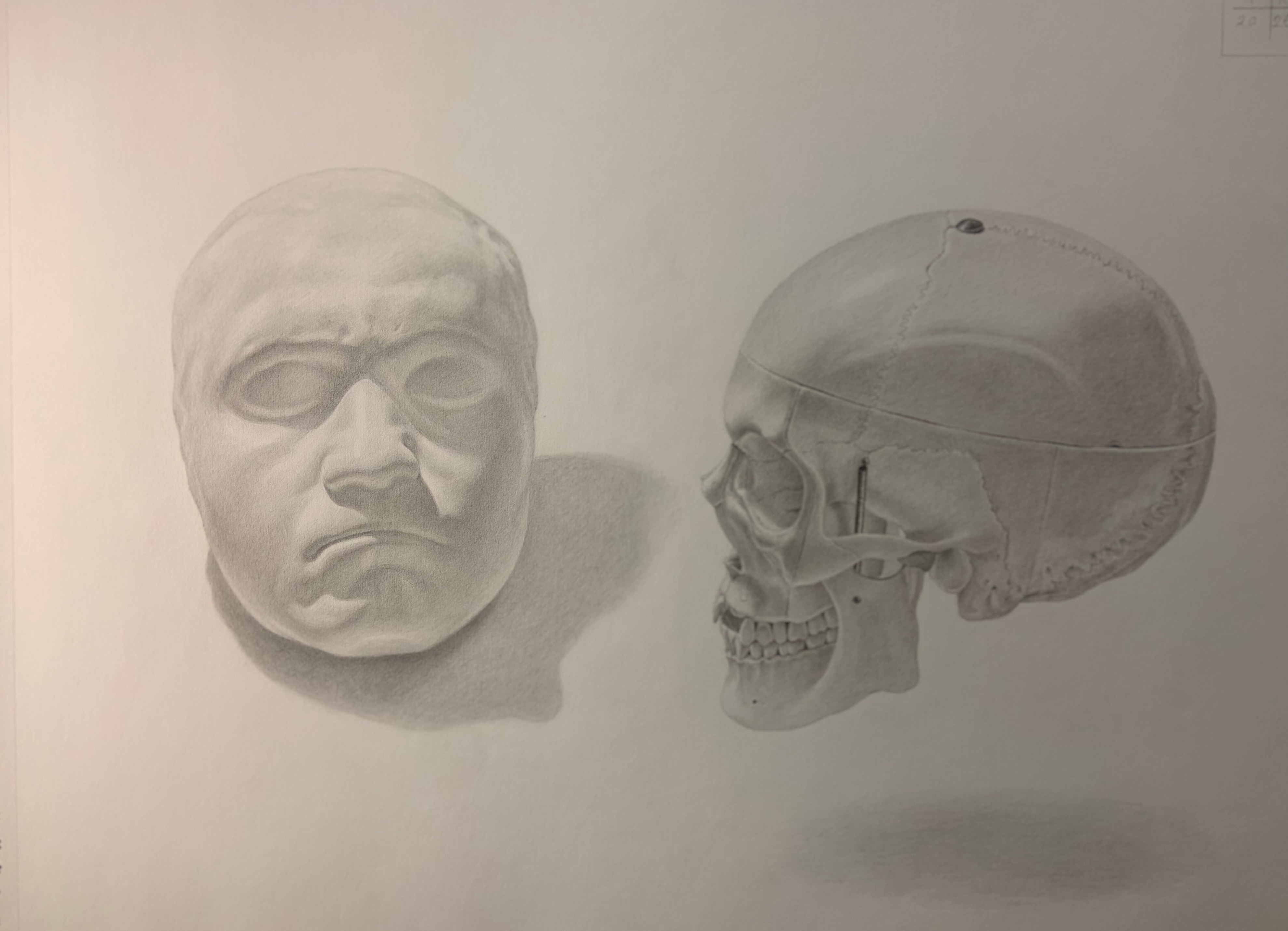 Cast study of the heads