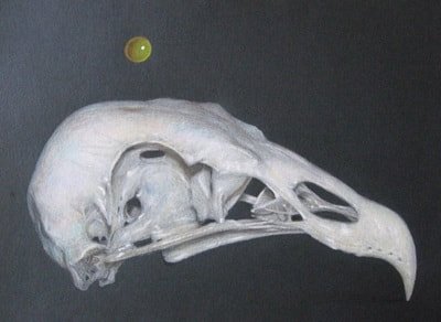 Cranium 1