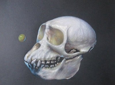 Cranium 3