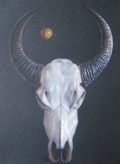 Cranium 7
