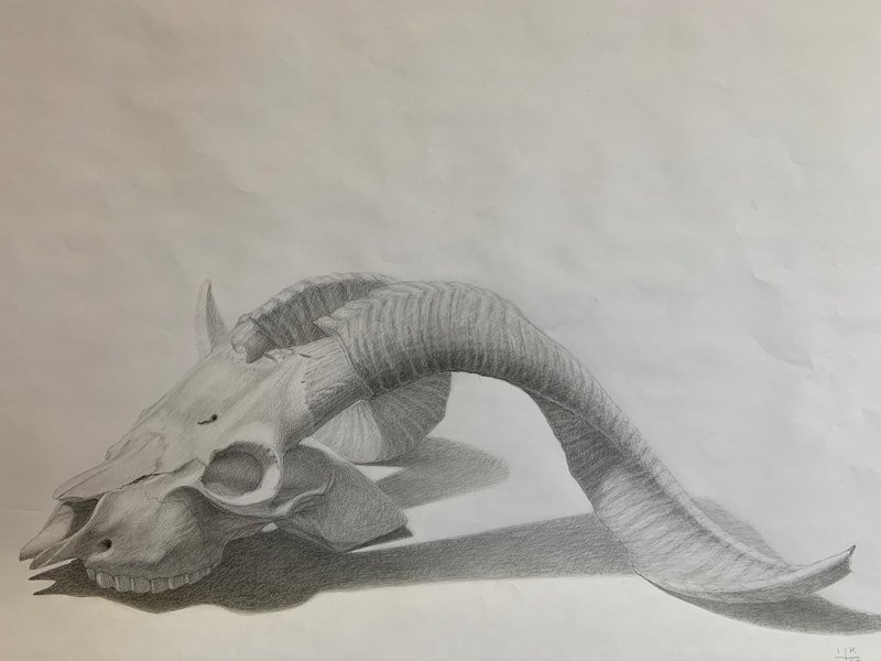 Gazelle skull, final layer
