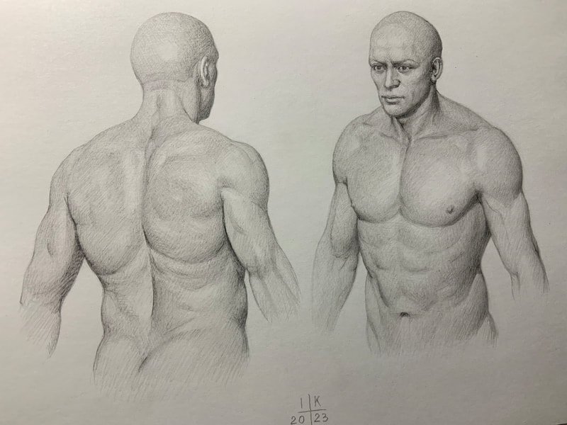 Study of male torso