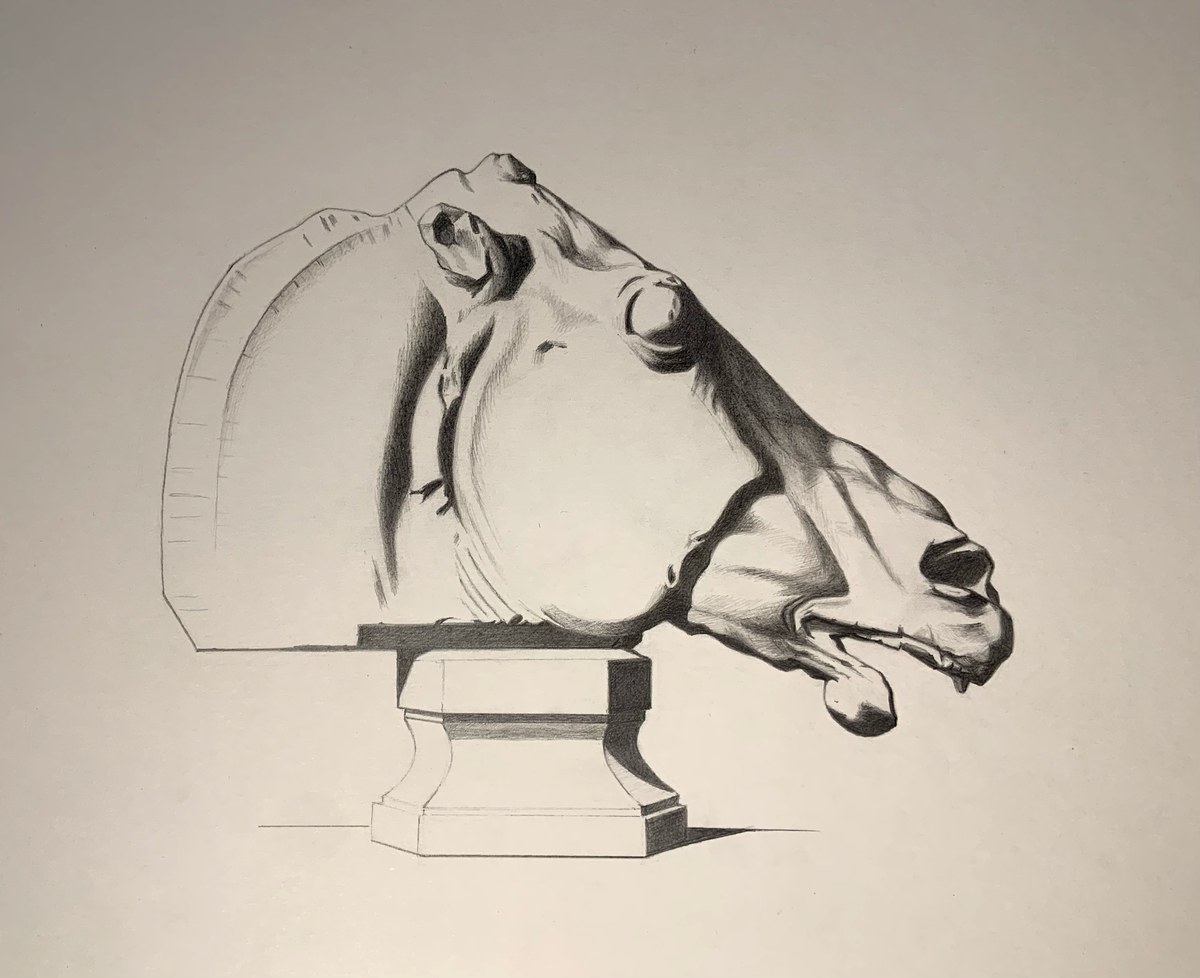 Parthenon horse's head study