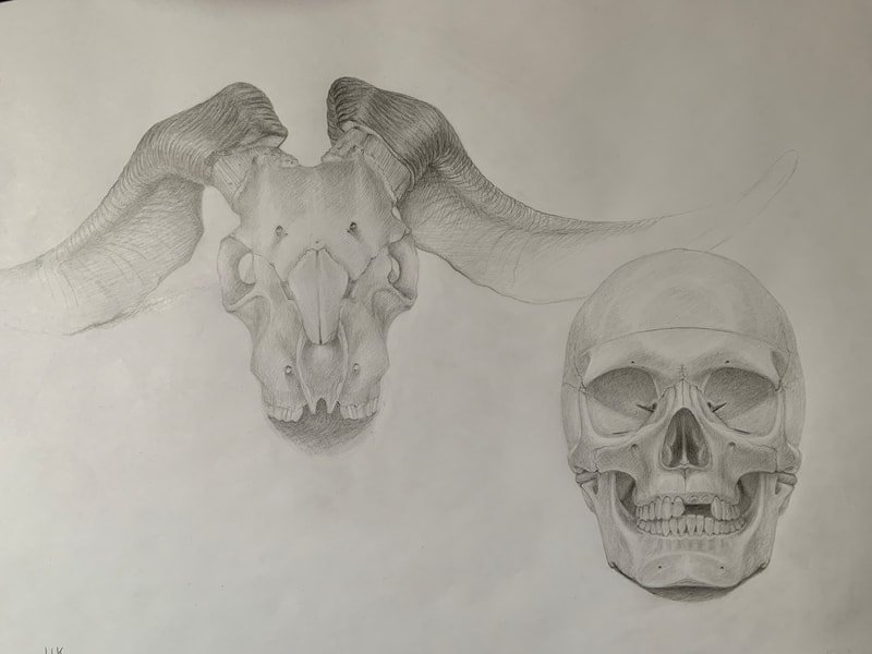 Study of two skulls, final layer