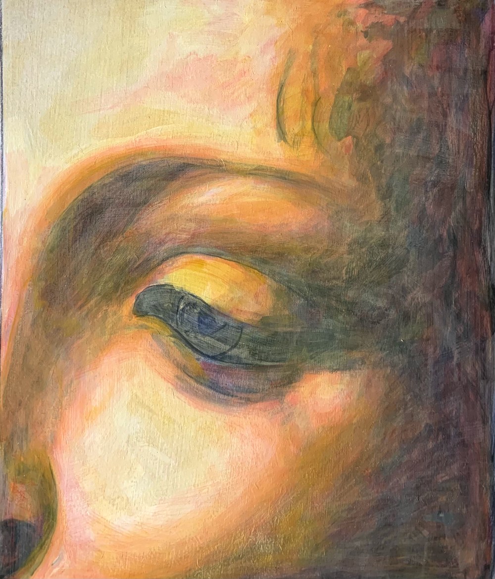 Eye study step 3, building colour