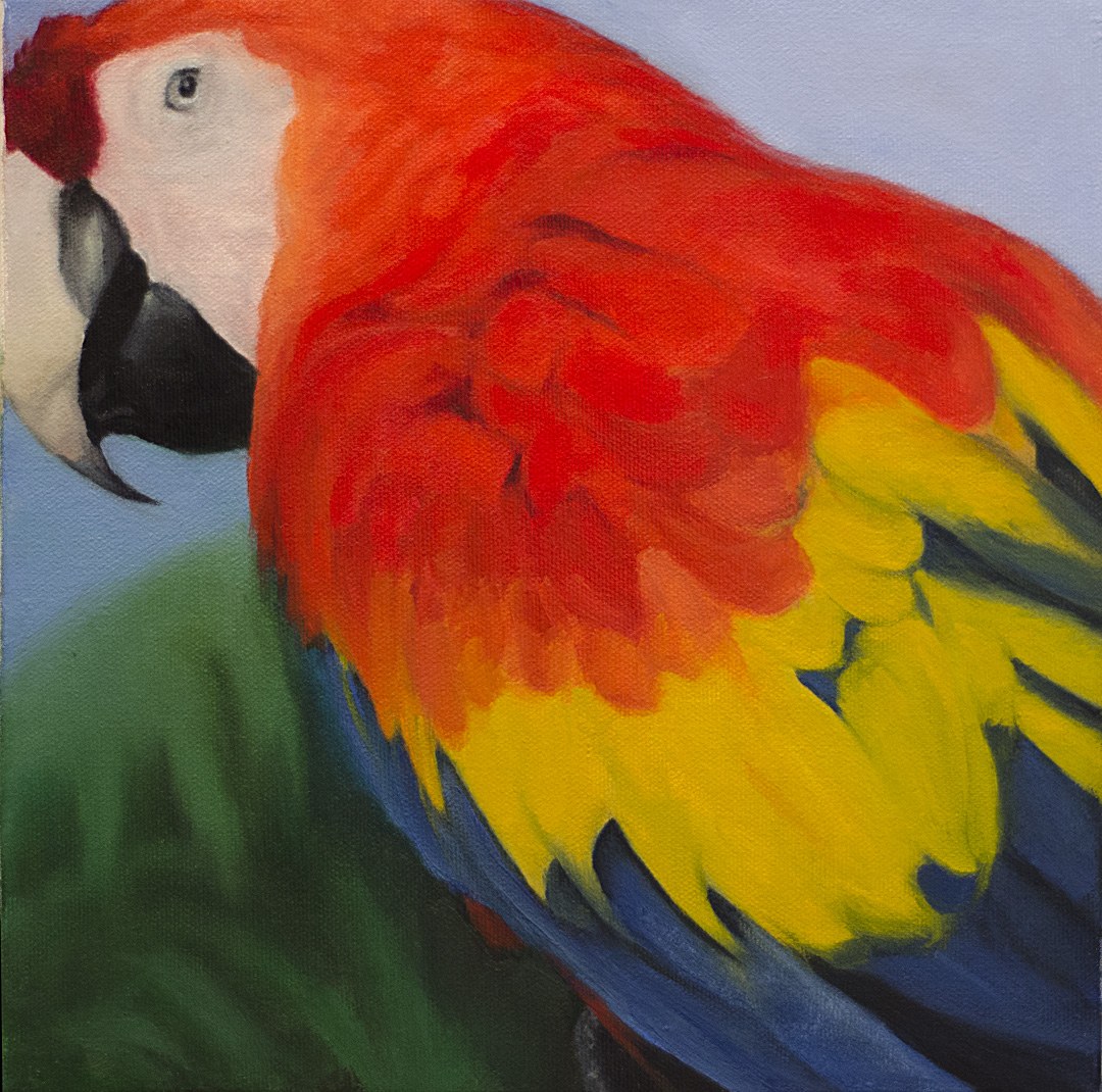 Suzanne Joly — Romeo, oil painting of a scarlet macaw
