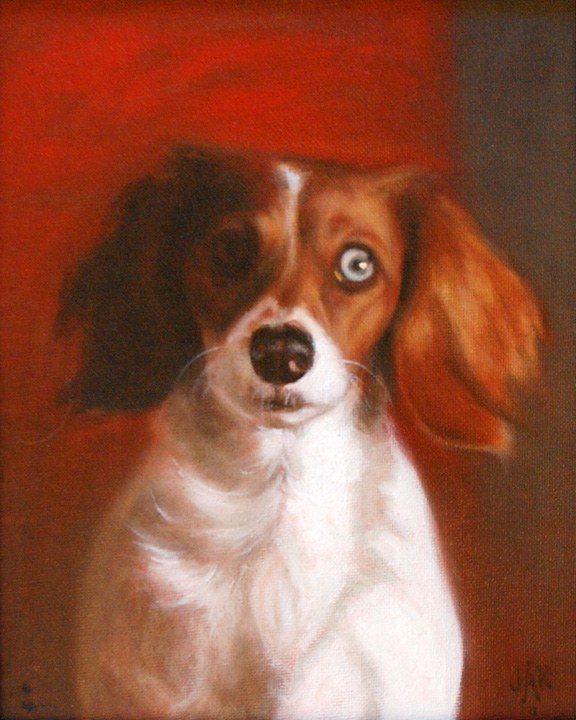 Jane Arnot Kavanagh — Suki, oil portrait of a dog
